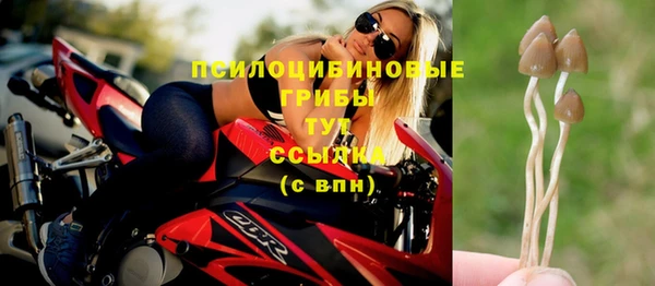 гидропоника Белоозёрский