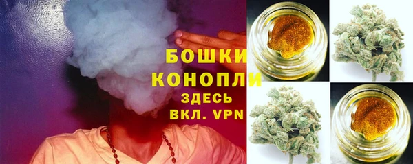 СК Белокуриха