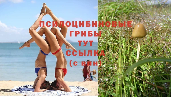 гидропоника Белоозёрский